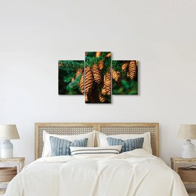 Tablou cu con de brad (90x60 cm)