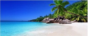 Tablou cu plaja pe insula Praslin (120x50 cm)