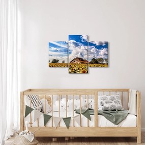 Tablou cu câmp de floarea soarelui (90x60 cm)