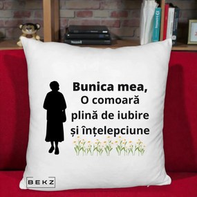 Cadou pentru Bunica - Perna Personalizata Bunica Mea Comoara Iubire Intelepciune Silueta cu Nepoata, 40x40 cm, Alb Pufos, Husa Detasabila, Perna Inclusa, BEKZ®