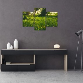 Tablou cu natura - lunca (90x60 cm)