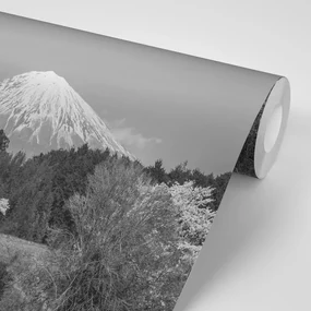 Fototapet autoadeziv muntele Fuji în alb-negru