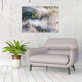 Tablou pe sticlă - Copac în ceață (70x50 cm)