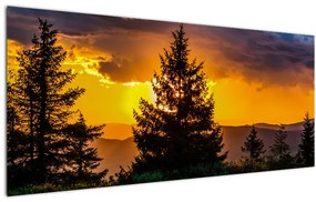 Tablou - coniferi (120x50 cm)