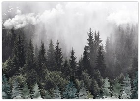 Tablou pe sticlă - Pădure cu elemente ilustrate (70x50 cm)