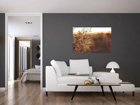 Tablou - Iarba înflorită (90x60 cm)