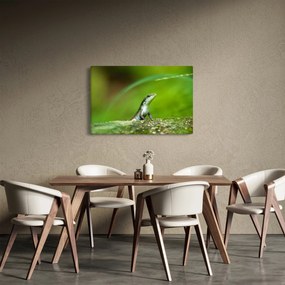 Tablou cu șopârlă (90x60 cm)