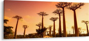 Tablou - Apus de soare pe Aleea Baobabilor (120x50 cm)
