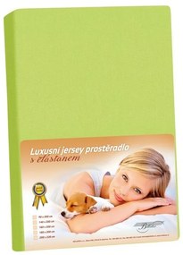 Cearșaf din jersey cu elastan verde, 180 x 200 cm, 180 x 200 cm