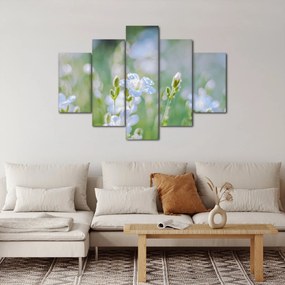 Tablou - Flori delicate (150x105 cm)