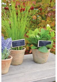 Plantă artificială (înălțime 27 cm) Chives – Esschert Design