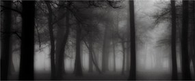 Tablou - Pădure în ceață (120x50 cm)