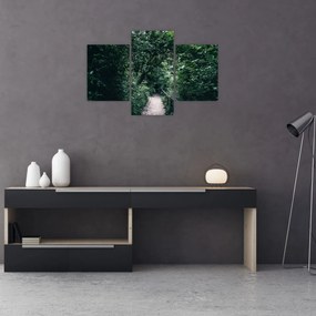 Tablou - Drumul prin pădure (90x60 cm)