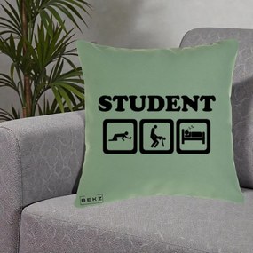 Perna Decorativa Student Life, 40x40 cm, Verde, Husa Detasabila, Perna Inclusa, BEKZ®