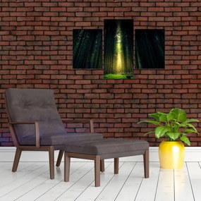 Tablou cu pădurea întunecată (90x60 cm)