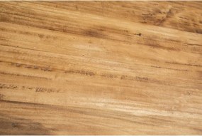 Masa extensibila, L160(290) 90 H80 cm, natur gri antic, lemn masiv