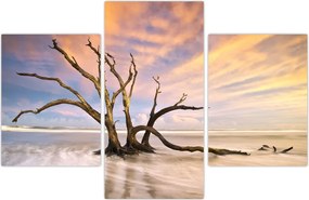 Tablou - Copacul în ocean (90x60 cm)