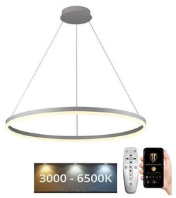 Brilagi - Lustră LED dimabilă suspendată pe cablu CIRCLE LED/55W/230V 3000-6500K + telecomandă
