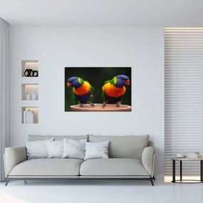 Tablou cu papagali (90x60 cm)