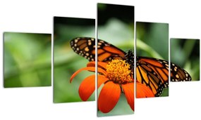 Tablou cu fluture pe floare (125x70 cm), în 40 de alte dimensiuni noi