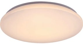 Rabalux 71036 - Plafonier LED RGB CERRIGEN dimabil 48W 230V