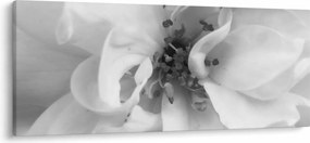 Tablou - Floare,alb-negru (120x50 cm)