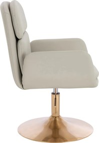 HR480N Scaun Ecru Piele Ecologica Premium Soft cu Bază Aurie