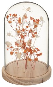 Flori uscate sub clopot de sticla FLOWER BELL, inaltime 17 cm Culoare: Portocaliu