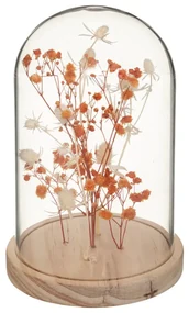 Flori uscate sub clopot de sticla FLOWER BELL, inaltime 17 cm Culoare: Portocaliu