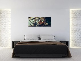 Tablou - Tigrul Siberian (120x50 cm)