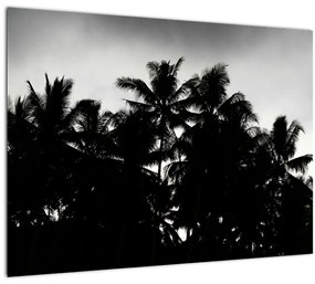 Tablou alb negru - palmieri (70x50 cm), în 40 de alte dimensiuni noi