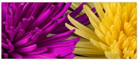 Tablou - detailu cu flori (120x50 cm)