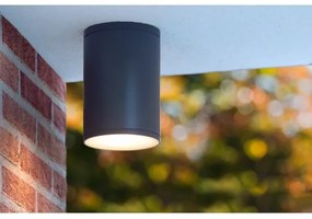 Lucide 27870/01/30 - Plafonieră baie TUBIX 1xE27/24W/230V