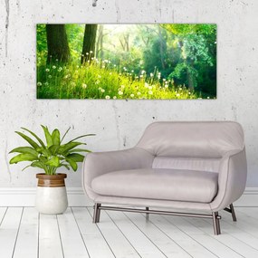 Tablou - Pajiște magică plină de păpădii (120x50 cm)