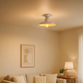 Lustră aplicată Brilagi FLAMENGO 1xE27/60W/230V bej