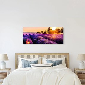 Tablou cu câmp de lavandă, Provincie (120x50 cm)