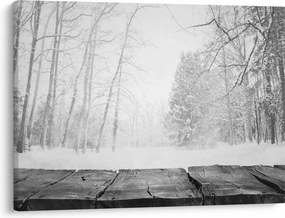 Tablou - Pier de lemn în timpul iernii (70x50 cm)