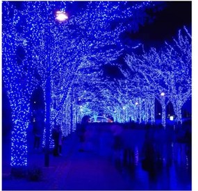 Instalație luminoasă de Crăciun 18m 300 LED Albastru