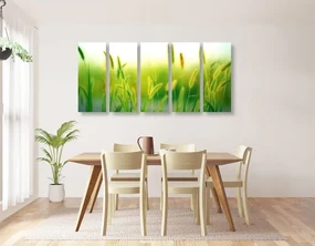 Tablou 5-piese lama de iarbă în design verde
