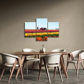 Tablou cu farma de lalele (90x60 cm)