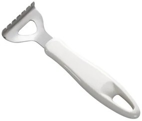 Tescoma Răzuitoare pentru pește PRESTO, inox
