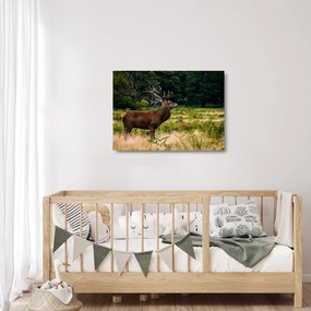 Tablou pe sticlă cu cerb (70x50 cm)