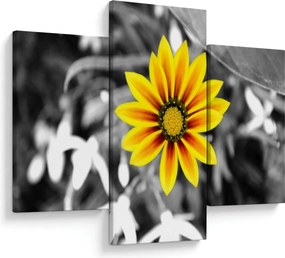 Tablou cu floare galbenă (90x60 cm)