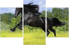 Tablou - Cal cu o coamă curgătoare (90x60 cm)