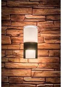 Aplică LED de exterior Rabalux 77130 LEITHA LED/12W/230V IP44