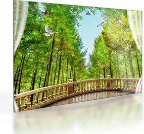 Tablou pe sticlă - Privire spre pădure (70x50 cm)