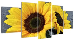 Tablou - floarea-soarelui (150x70cm)
