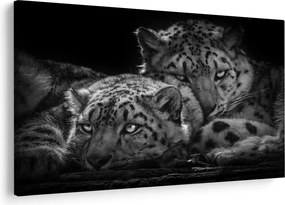 Tablou - Gheparzi care se odihnesc (90x60 cm)