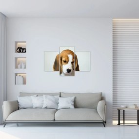 Tablou cu bigl (90x60 cm)
