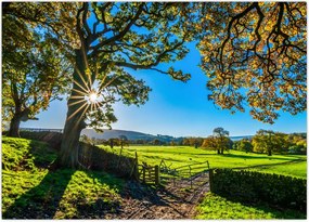 Tablou Privire la câmp (70x50 cm)